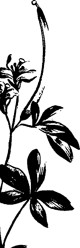 099/099320011201020_0.png