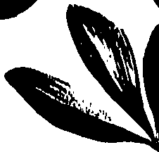 099/099320011201030_0.png