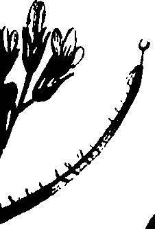 099/099320011201030_1.png