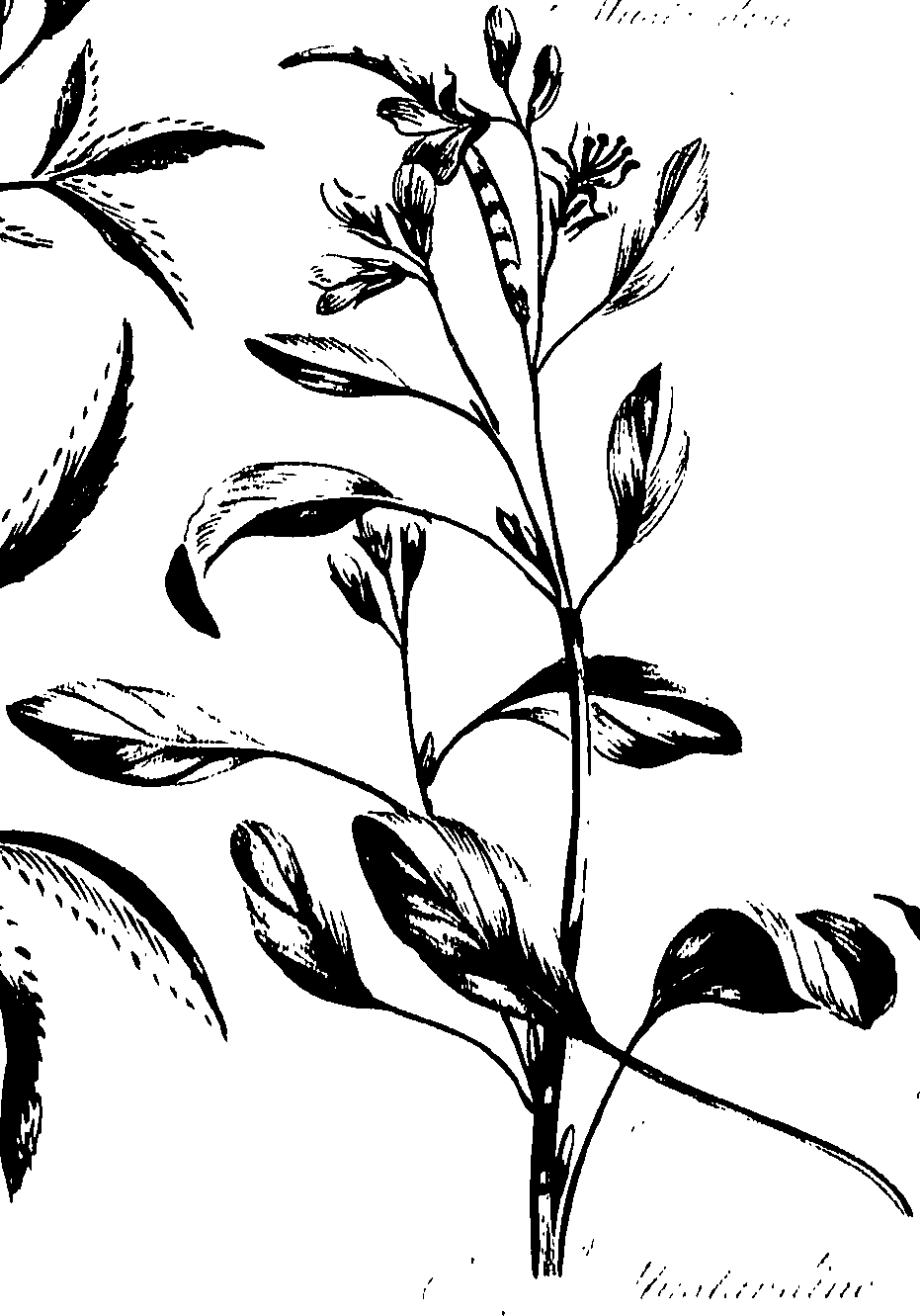 099/099320011201040_0.png