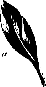 099/099320011201050_0.png