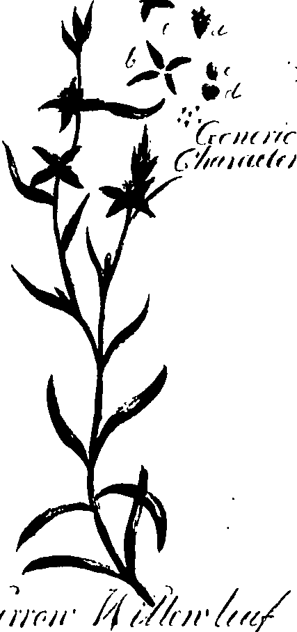 099/099320011201060_1.png