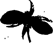 099/099320011201060_2.png