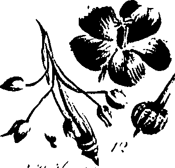099/099320011201070_0.png