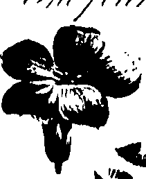 099/099320011201070_1.png