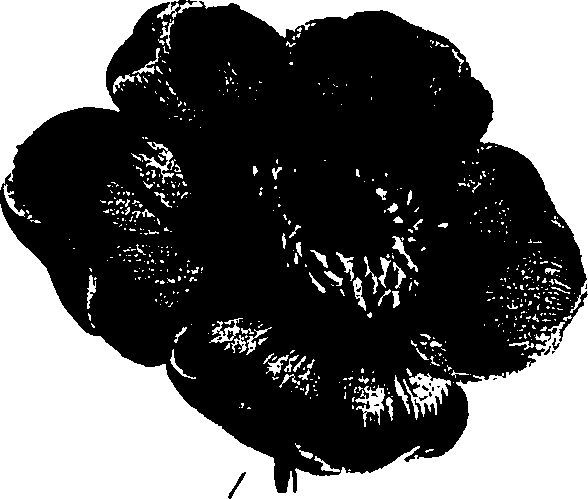 099/099320011201070_2.png