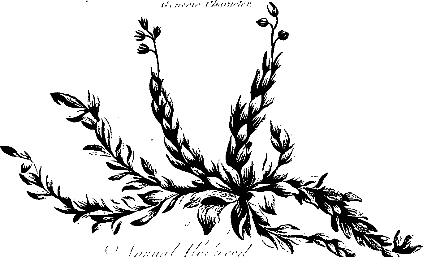 099/099320011201080_1.png