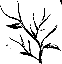 099/099320011201100_0.png