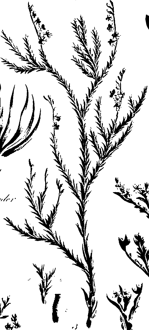 099/099320011201100_1.png