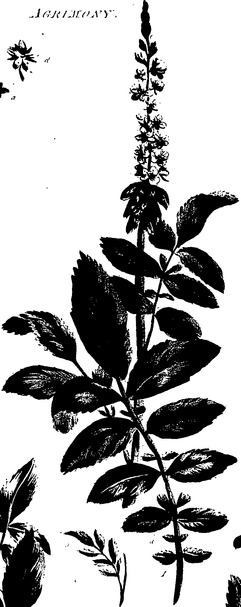 099/099320011201110_0.png