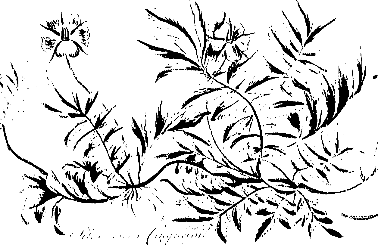099/099320011201130_0.png