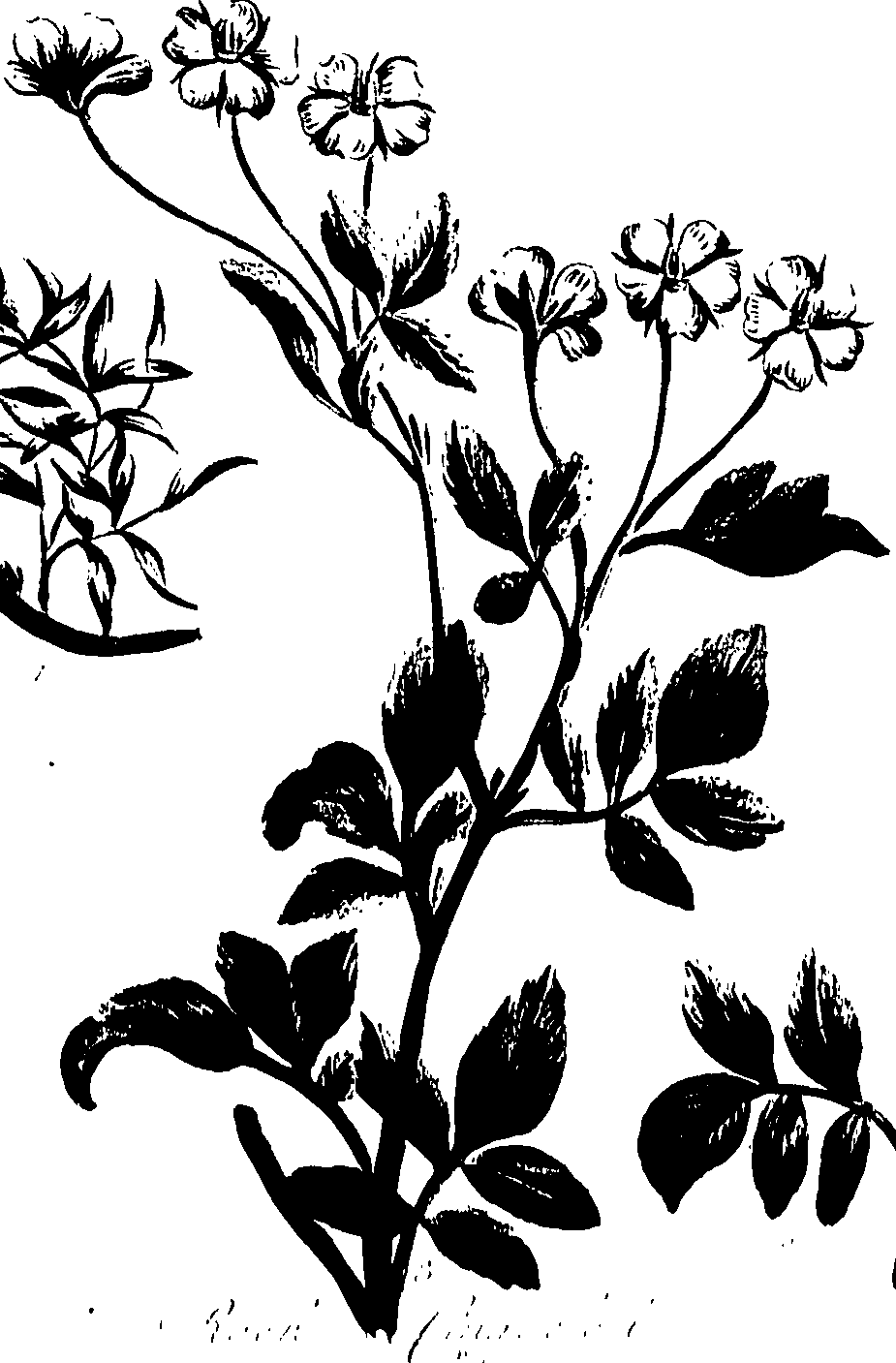 099/099320011201140_1.png