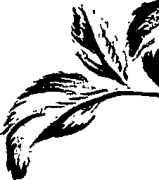 099/099320011201140_2.png