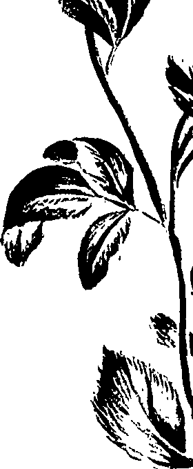 099/099320011201140_3.png