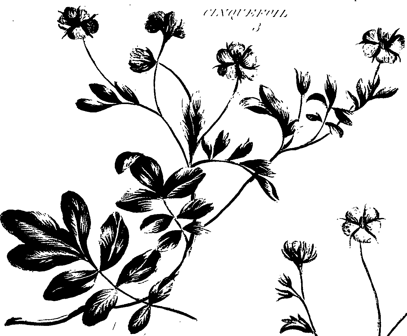 099/099320011201150_0.png