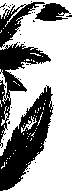 099/099320011201160_0.png
