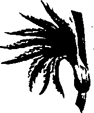 099/099320011201170_1.png
