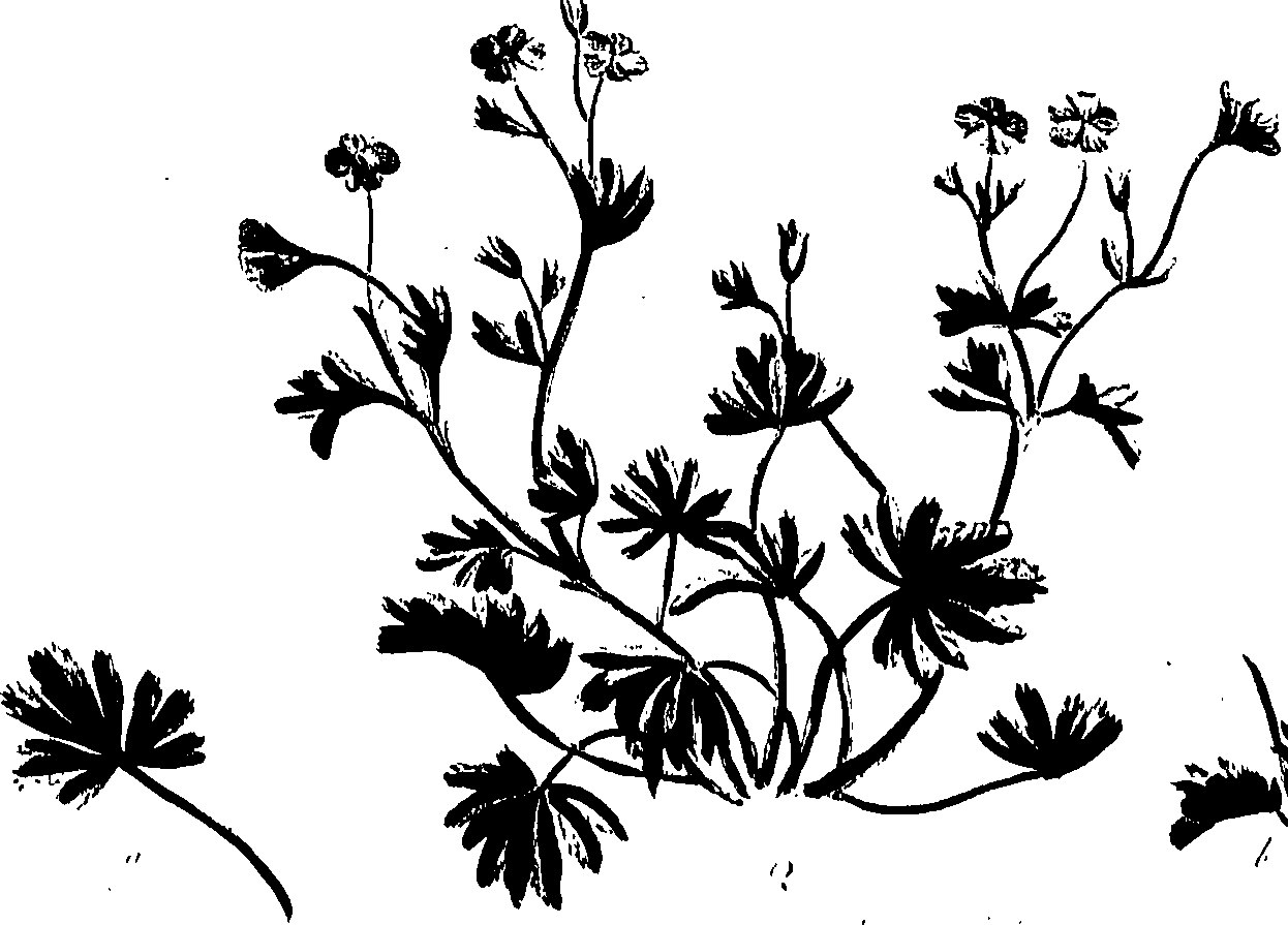 099/099320011201180_0.png