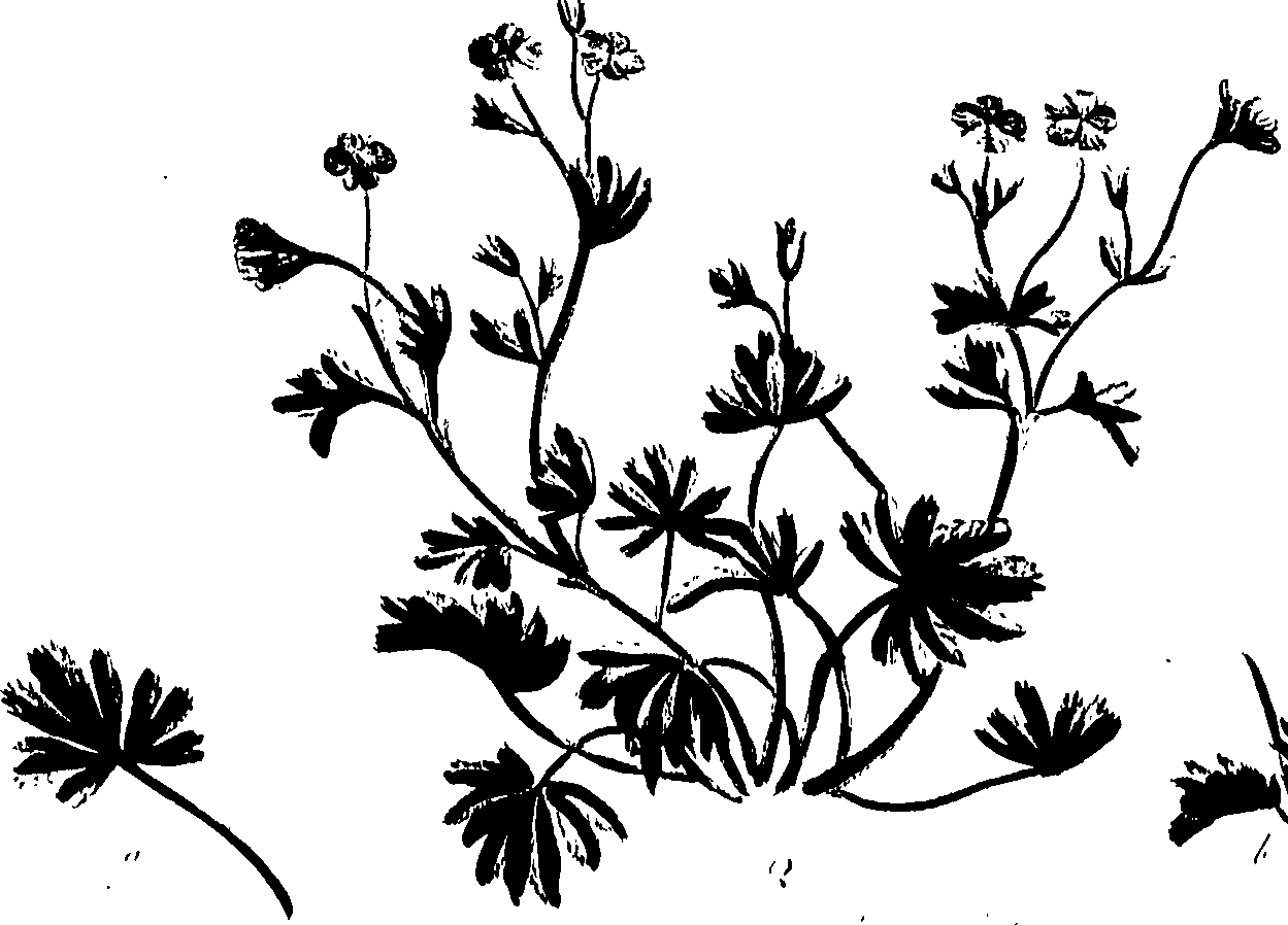 099/099320011201190_0.png