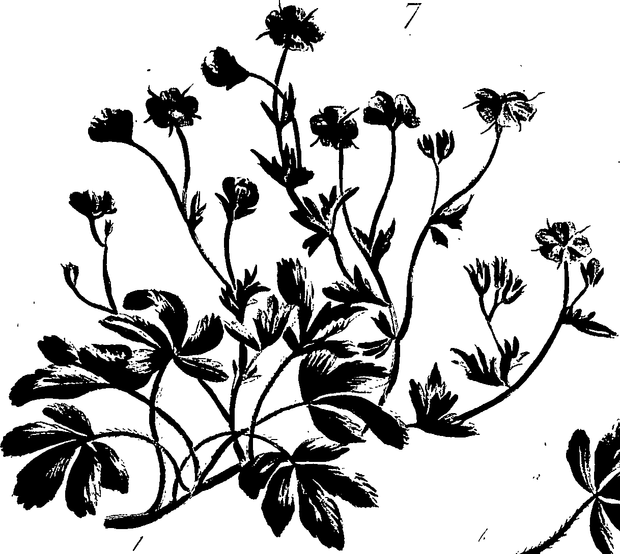 099/099320011201190_1.png
