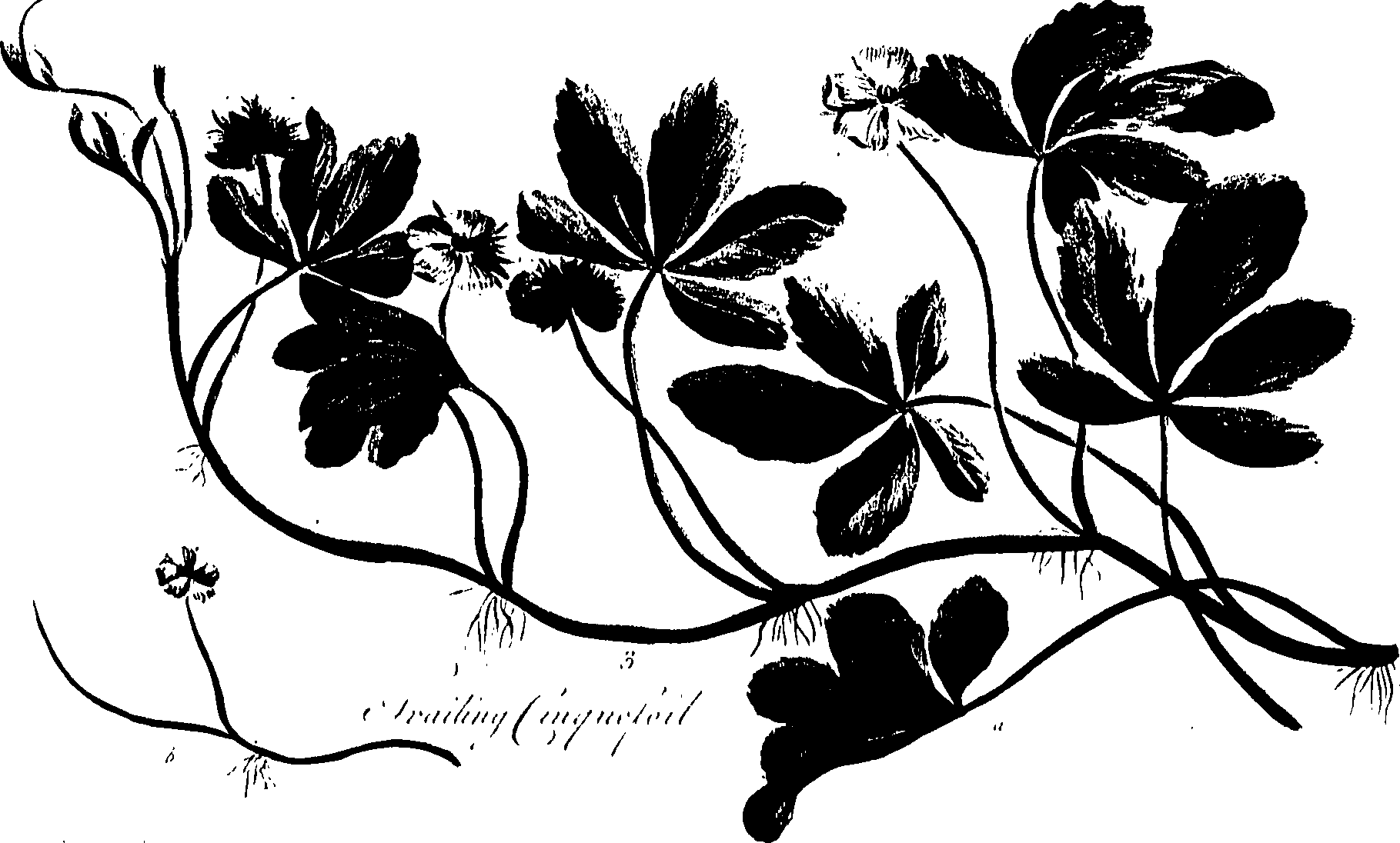 099/099320011201210_0.png