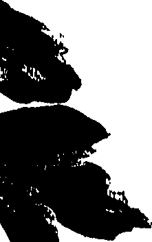 099/099320011201220_0.png