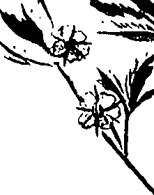 099/099320011201220_1.png