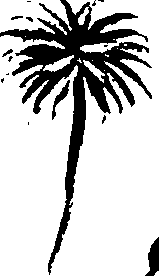 099/099320011201240_0.png