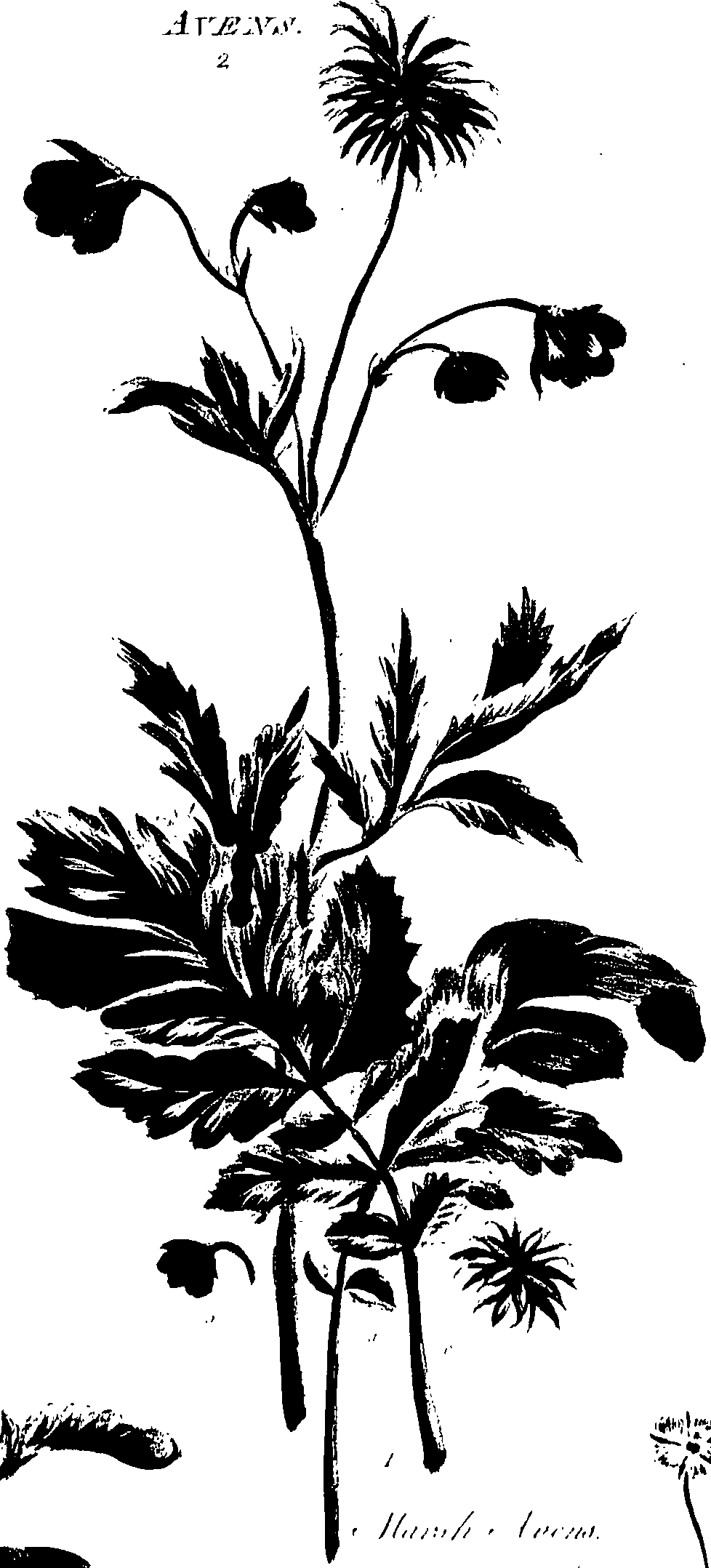 099/099320011201250_0.png