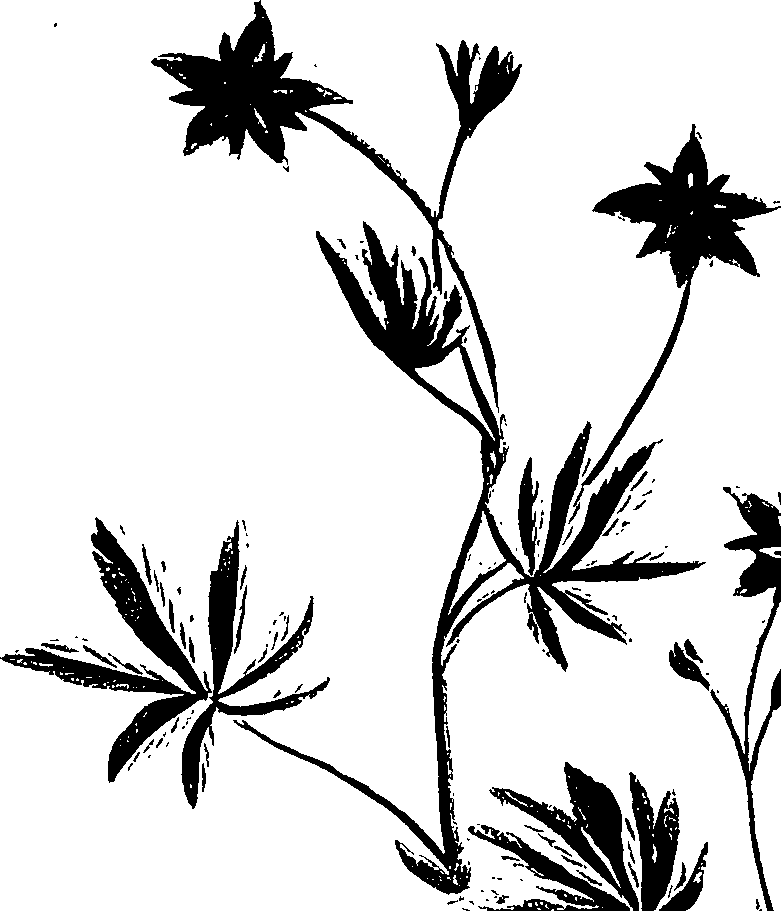 099/099320011201260_0.png