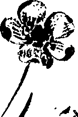 099/099320011201290_1.png