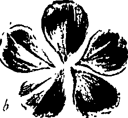 099/099320011201290_2.png