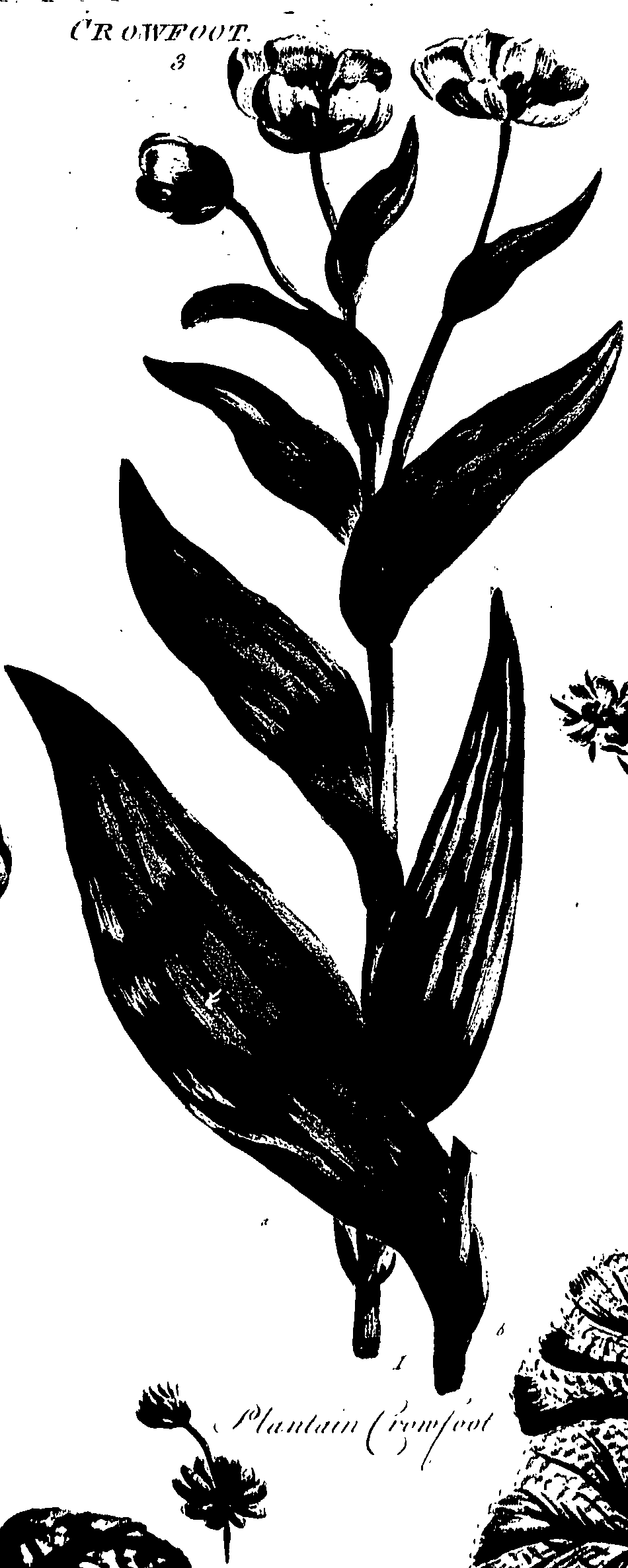 099/099320011201310_0.png
