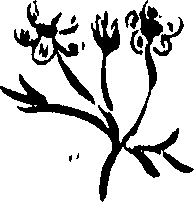 099/099320011201320_0.png