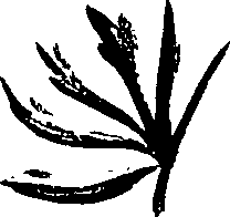099/099320011201320_2.png