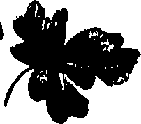 099/099320011201340_0.png