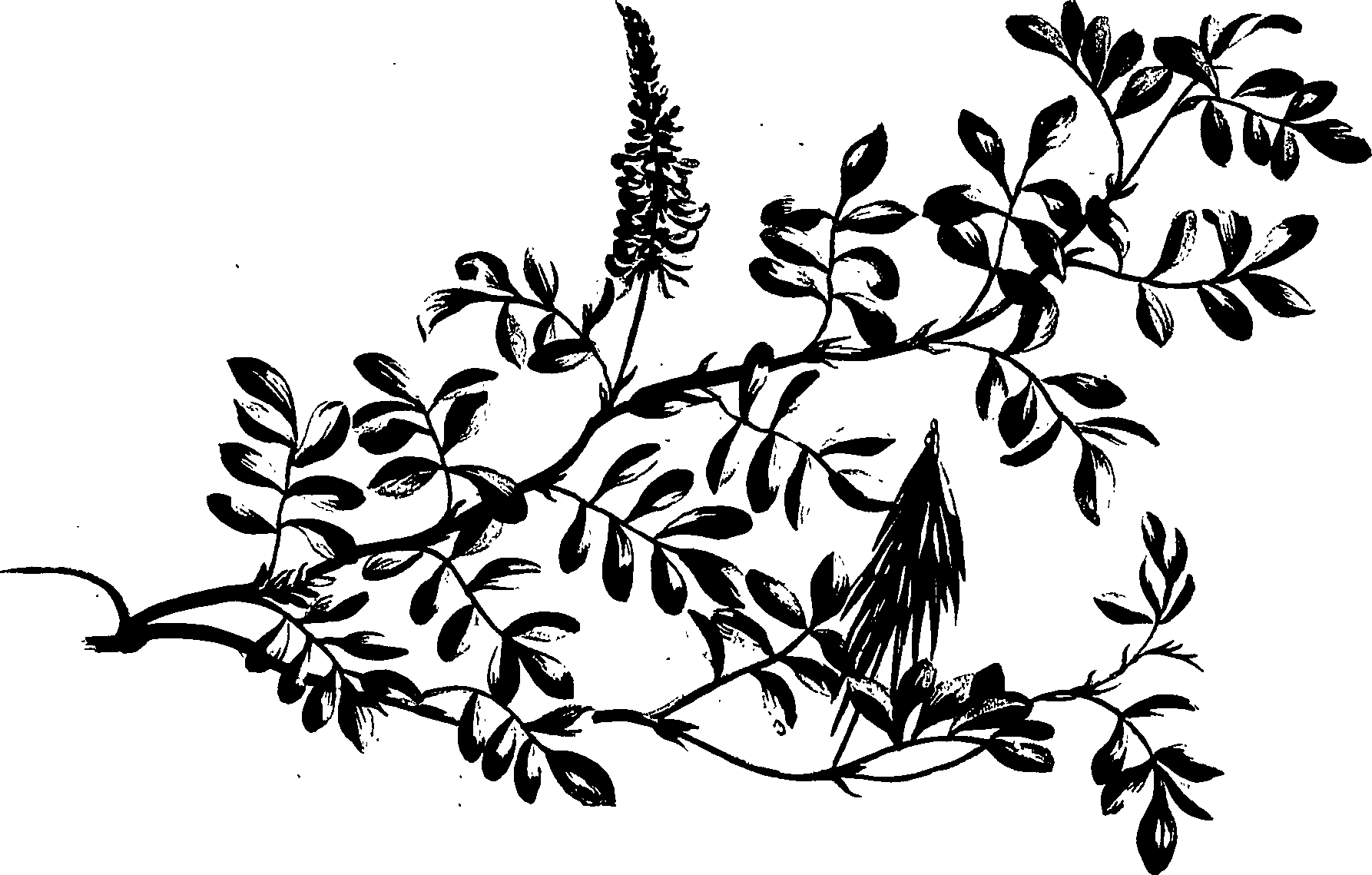 099/099320011300780_0.png