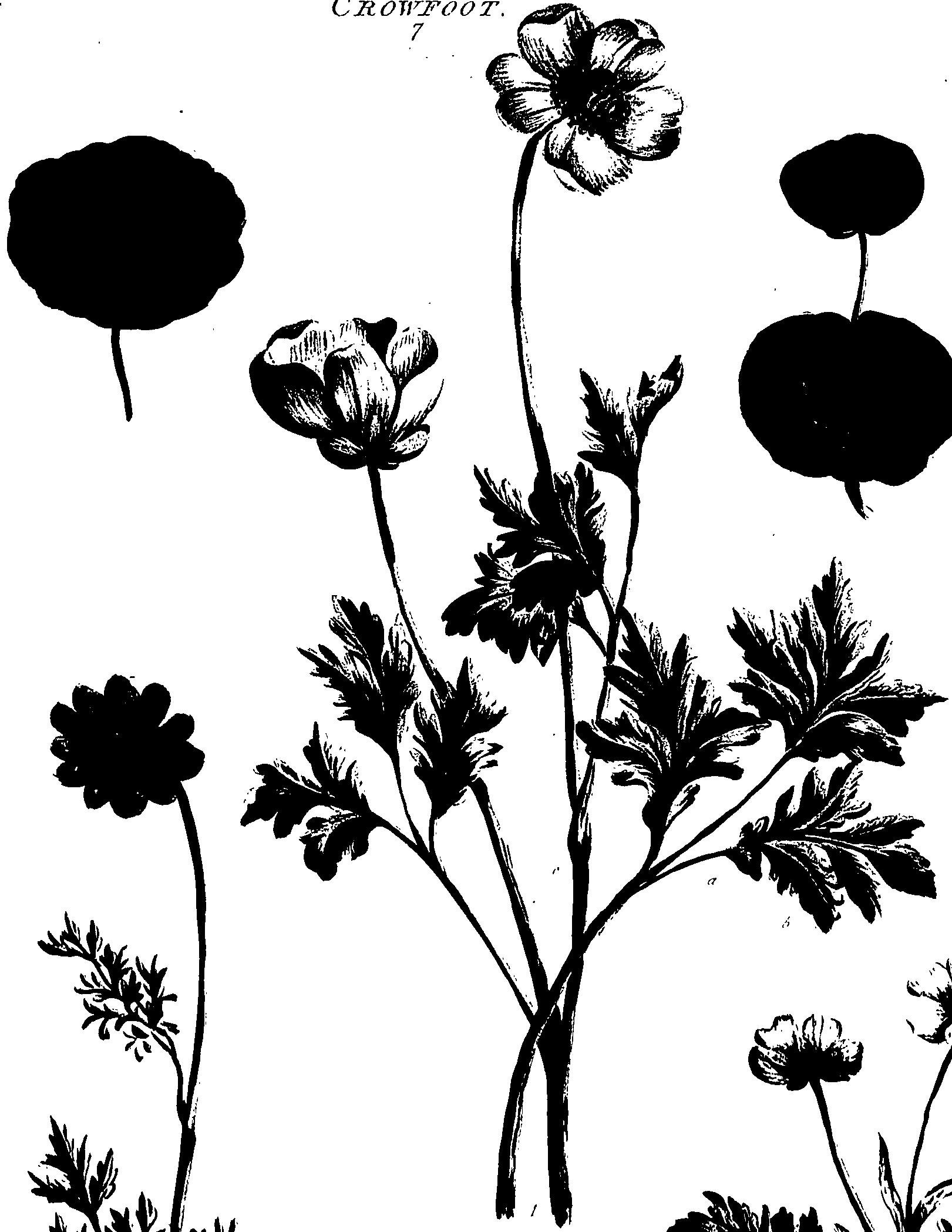 099/099320011300800_0.png