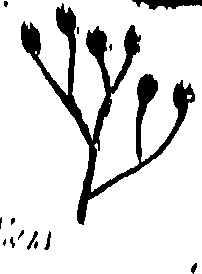 099/099320011300810_0.png