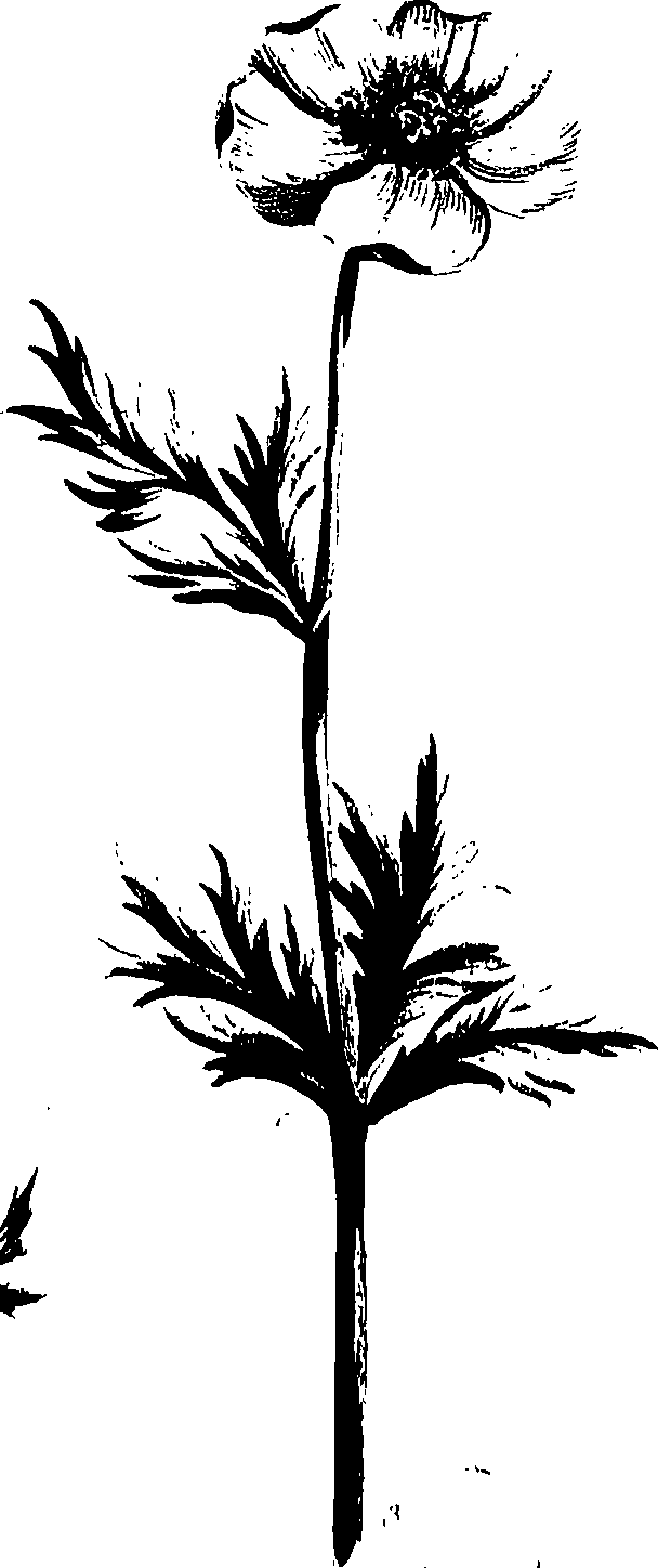 099/099320011300830_0.png
