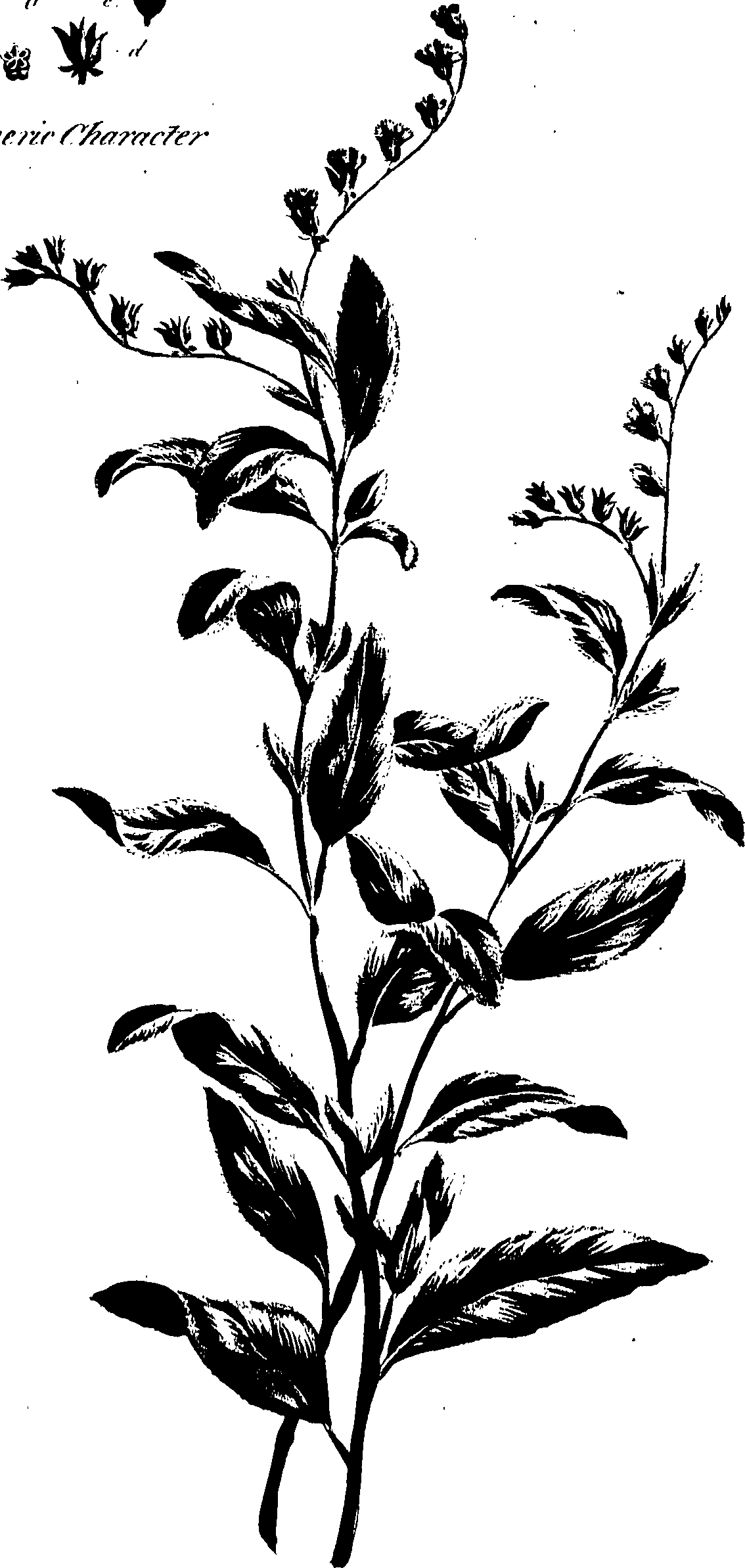 099/099320011300850_0.png