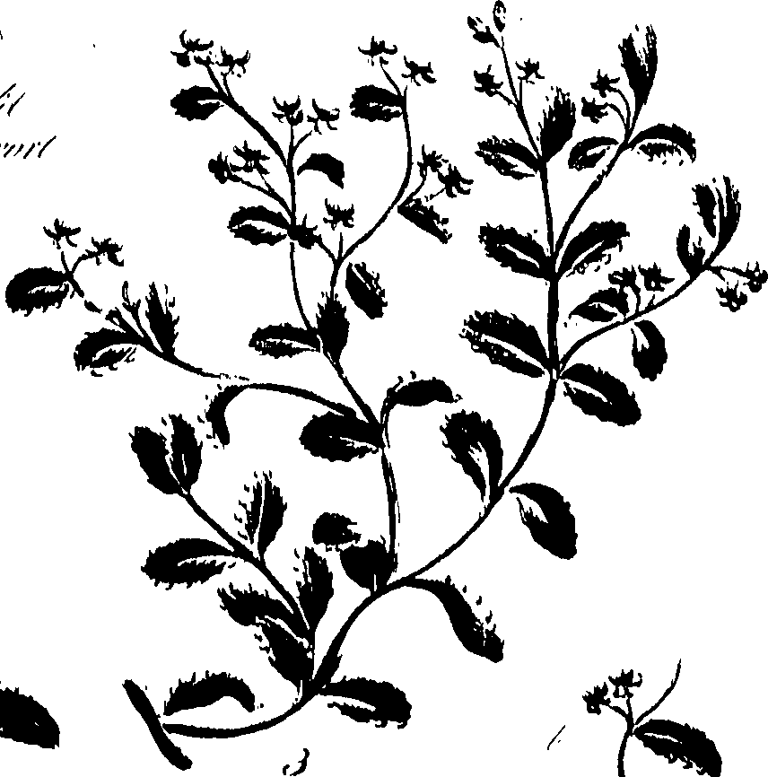 099/099320011300880_0.png