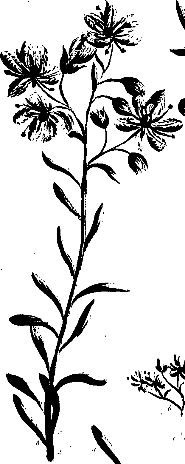 099/099320011300890_0.png