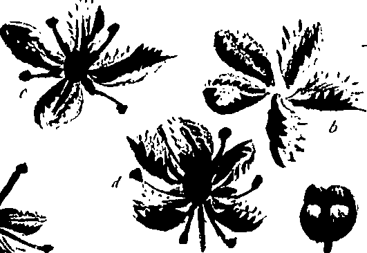 099/099320011300890_1.png