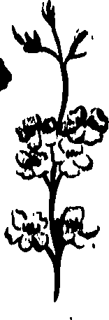 099/099320011300900_0.png