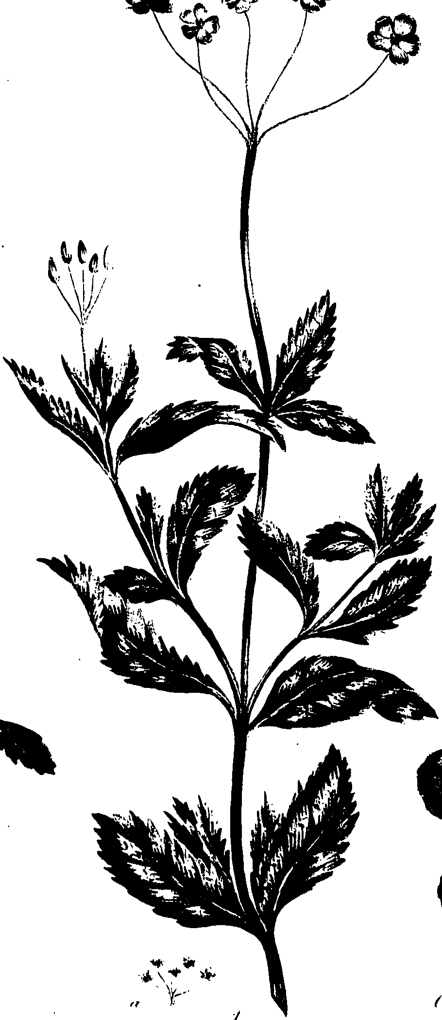 099/099320011300910_0.png