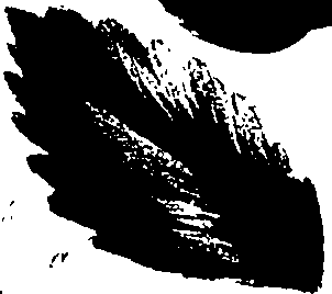 099/099320011300950_0.png
