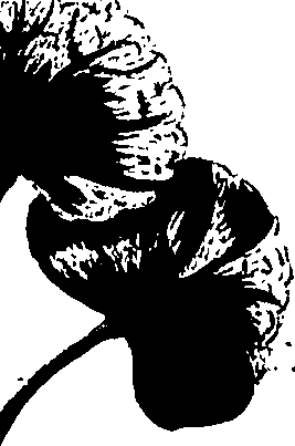 099/099320011300960_0.png