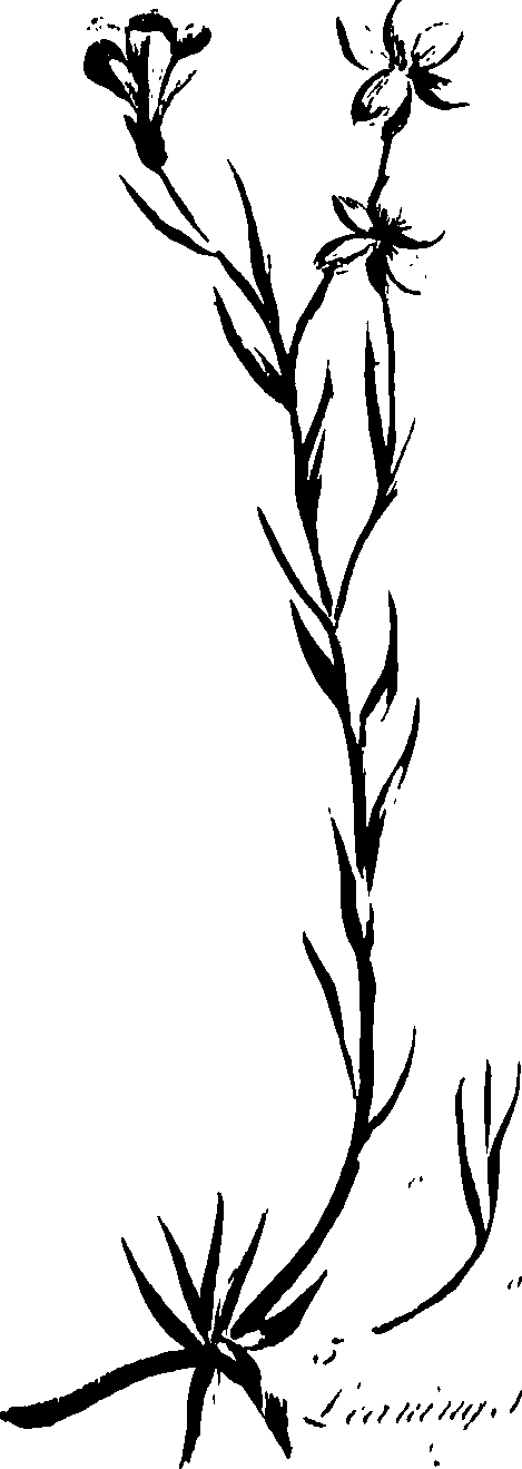 099/099320011300970_0.png