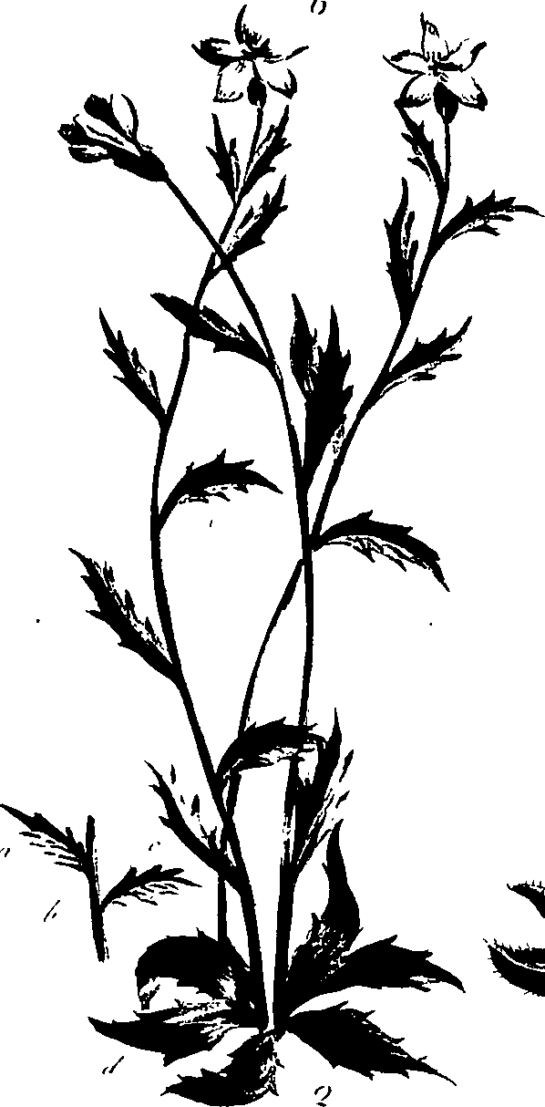 099/099320011300970_1.png
